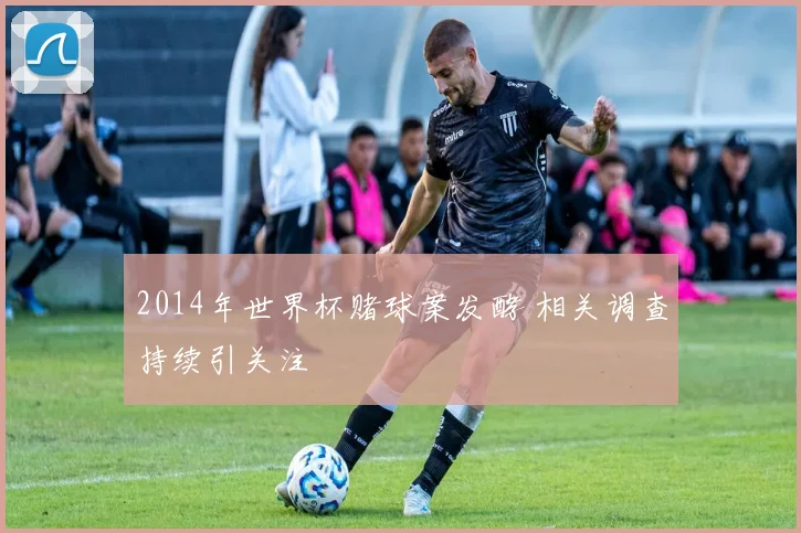2014年世界杯赌球案发酵 相关调查持续引关注