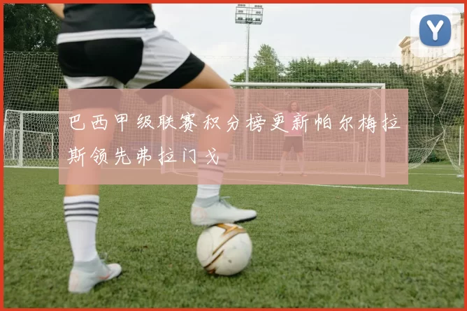 巴西甲级联赛积分榜更新帕尔梅拉斯领先弗拉门戈