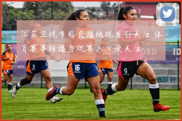 江苏卫视节目直播线观看引关注 体育赛事转播与观赛入口受关注