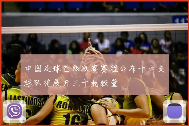 中国足球乙级联赛赛程公布十六支球队将展开三十轮较量