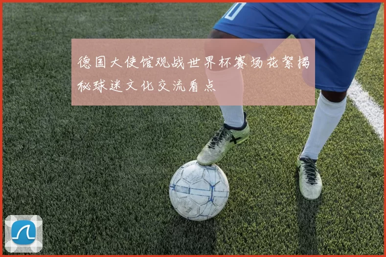 德国大使馆观战世界杯赛场花絮揭秘球迷文化交流看点