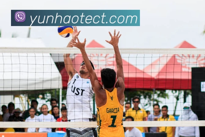 多媒体互动体验